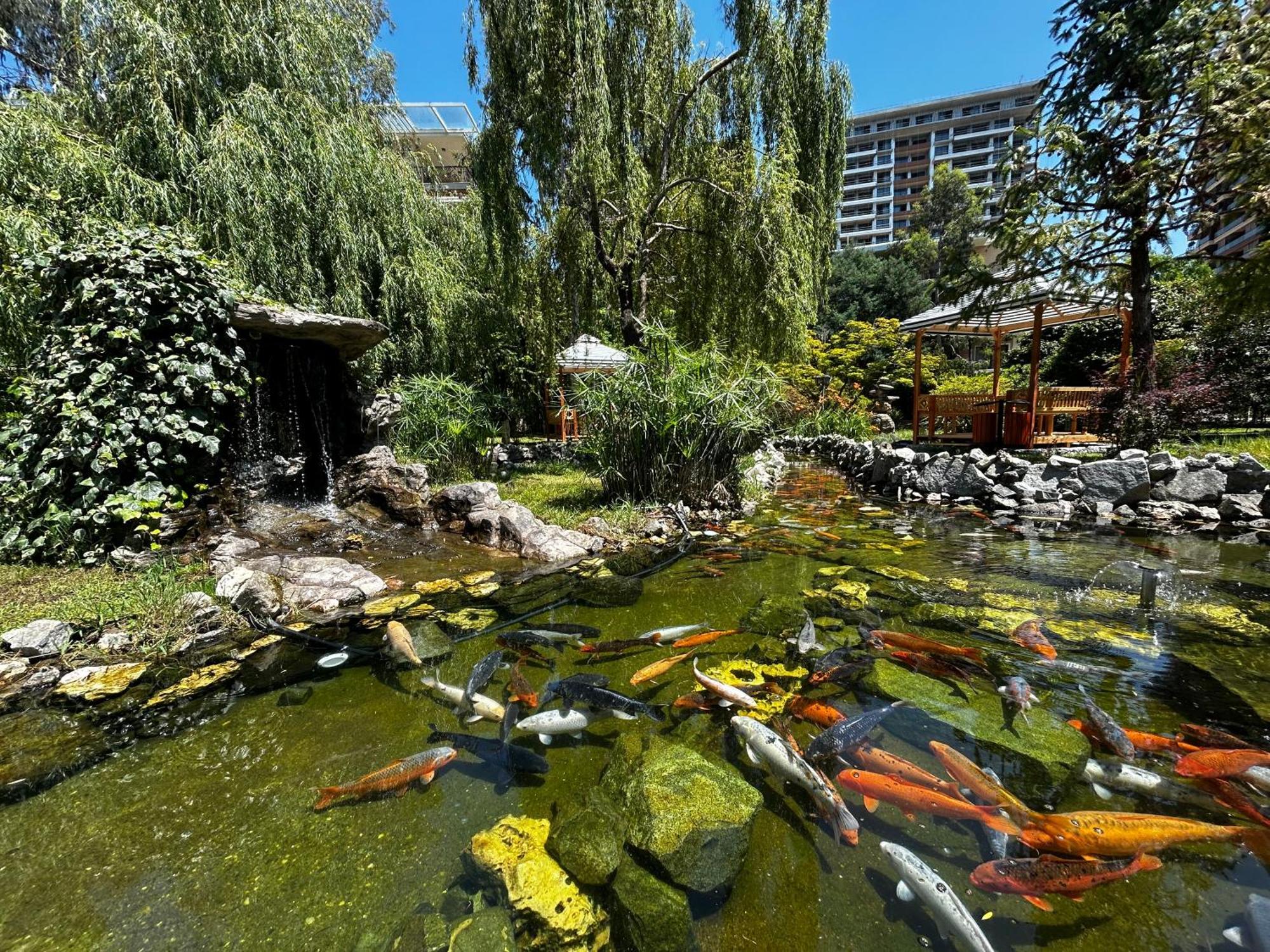 Cемейный Номер С Балконом На 4 Чел Dreamland Oasis Chakvi Esterno foto